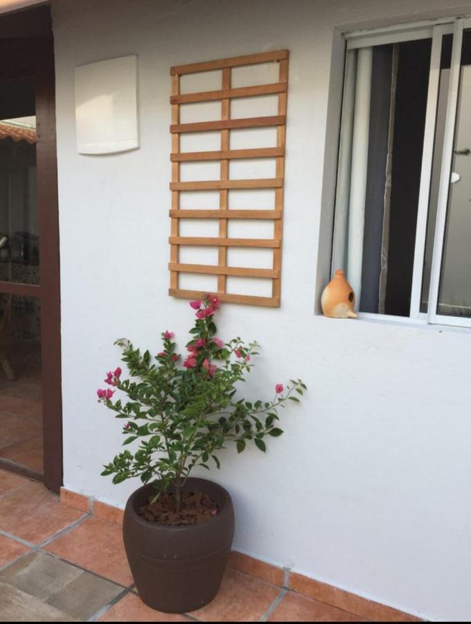 Praia Brava Guest House Suites Itajaí Exteriör bild